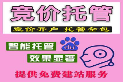 SEM代运营案例：行业领军企业实践